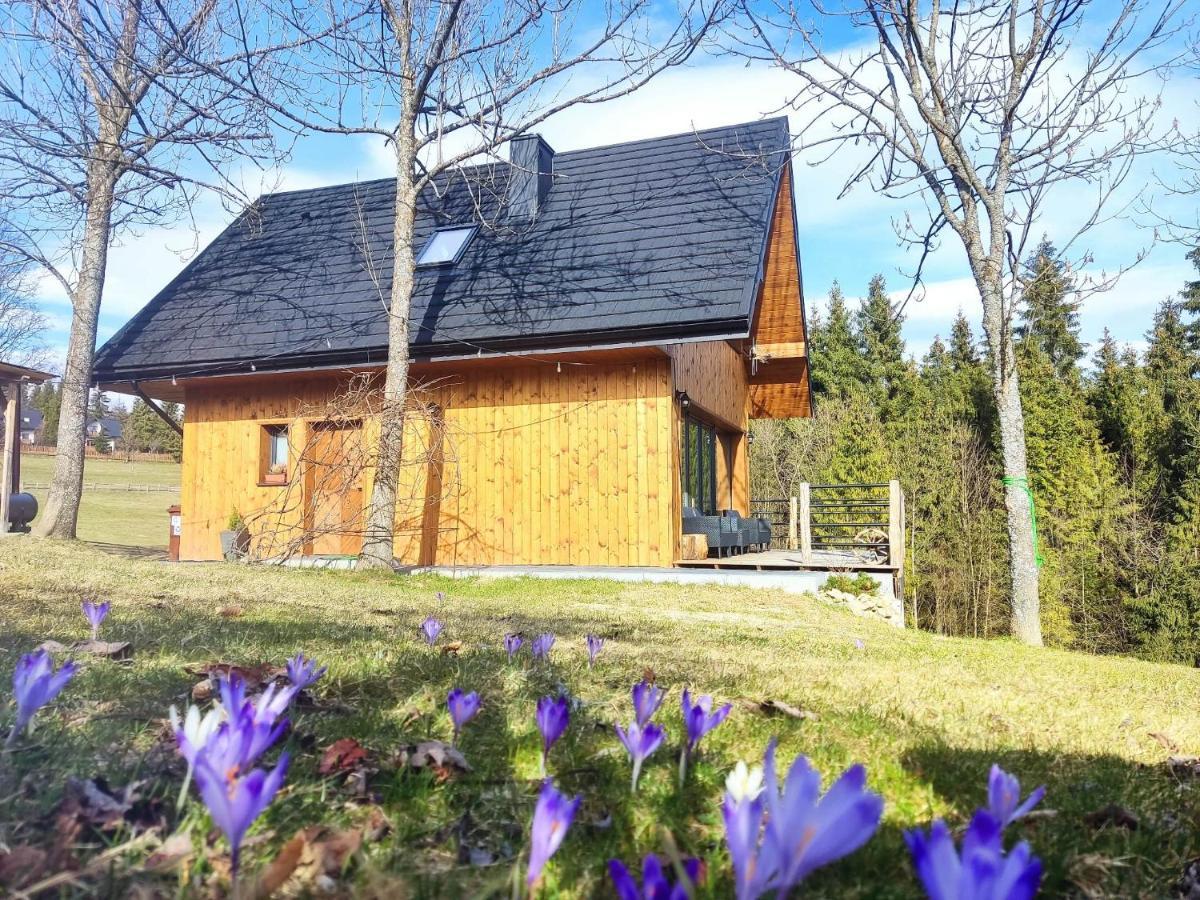 Vila Przystanek Gorce Nowy Targ Exteriér fotografie