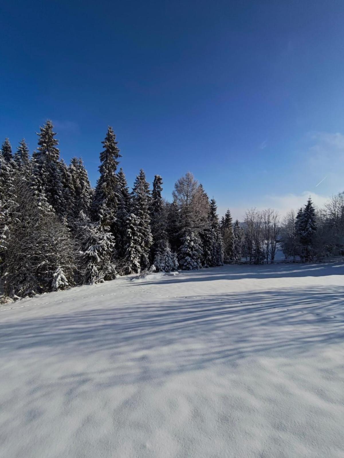 Vila Przystanek Gorce Nowy Targ Exteriér fotografie